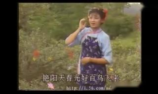 韩再芬黄梅戏小辞店 韩再芬黄梅戏小辞店